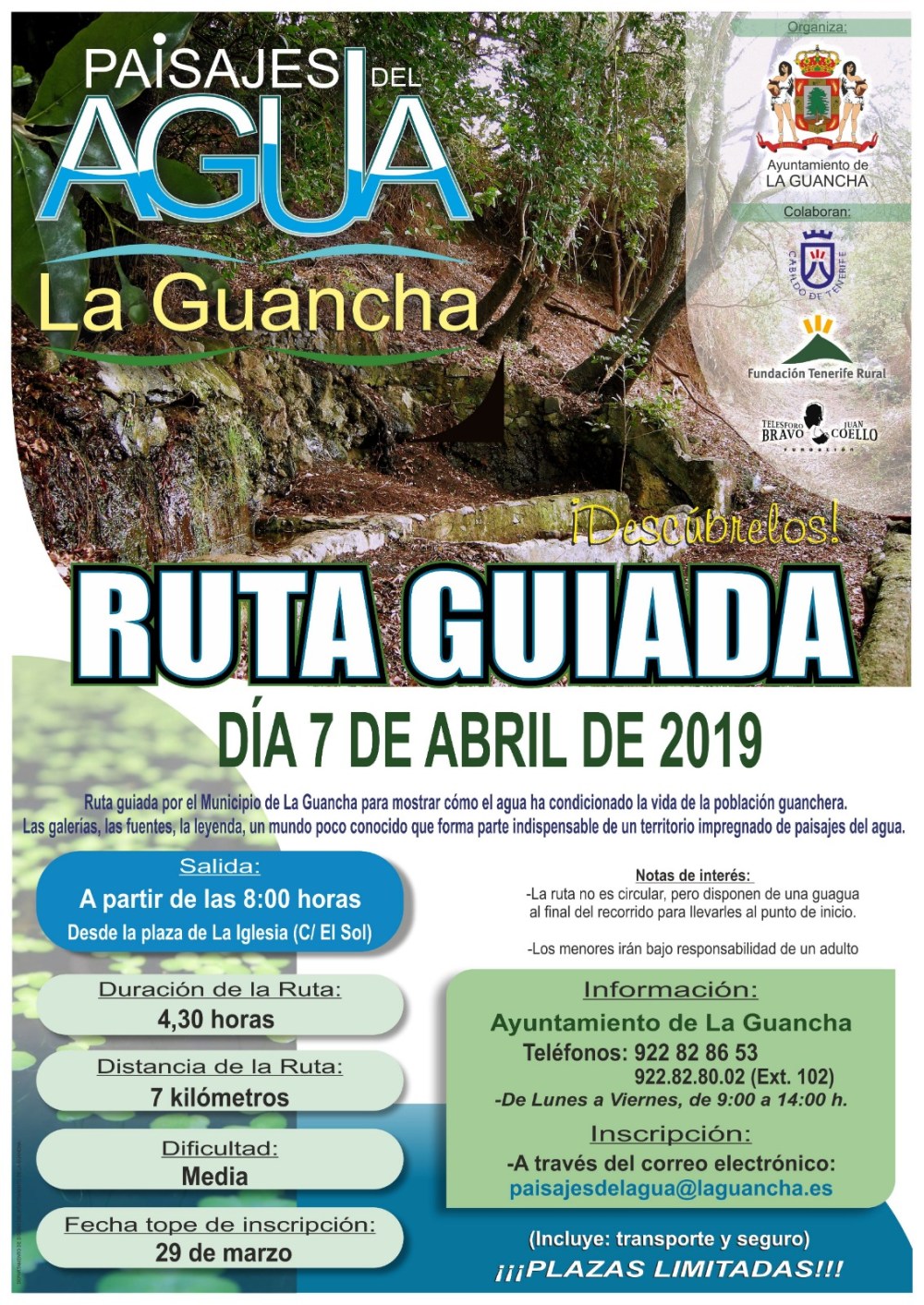 0963b96a-810f-4f84-8afb-5c5e7697e312